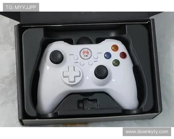 全面介绍开云type游戏中的角色养成策略与装备搭配指南