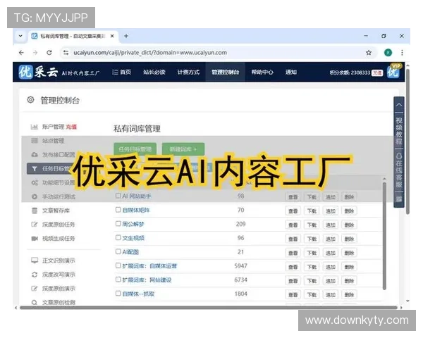 开云网站建设优化策略提升网站用户体验与搜索引擎排名实现持续流量增长