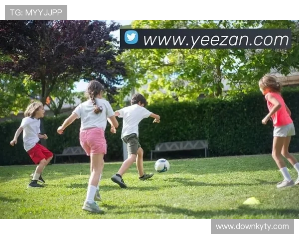 全面解析开云网页版登录界面步骤及常见问题解决方案